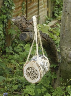 friends of the earth bee log.jpg friends of the earth bee log.jpg